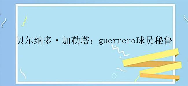 贝尔纳多·加勒塔：guerrero球员秘鲁