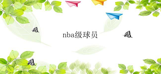 nba级球员