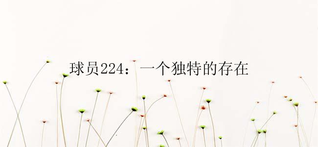 球员224：一个独特的存在