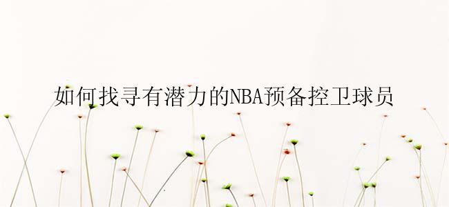 如何找寻有潜力的NBA预备控卫球员