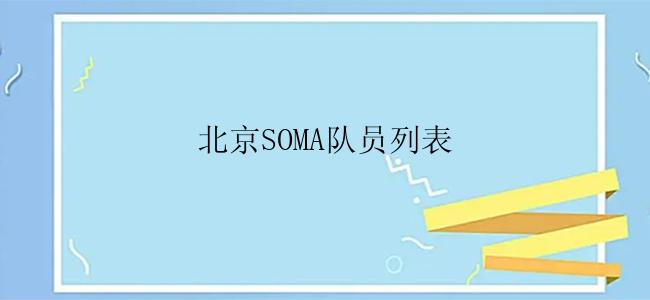 北京SOMA队员列表