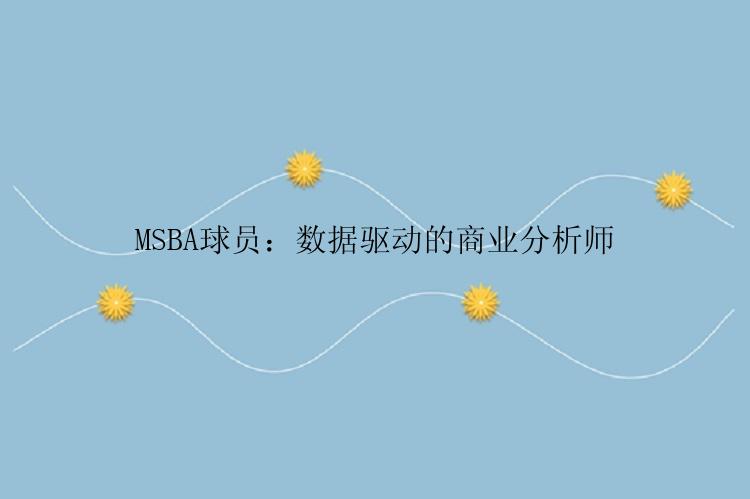 MSBA球员：数据驱动的商业分析师