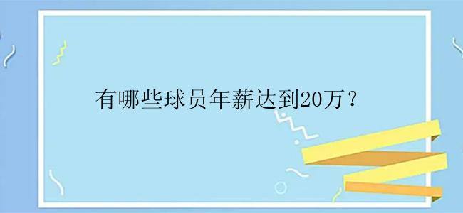 有哪些球员年薪达到20万？