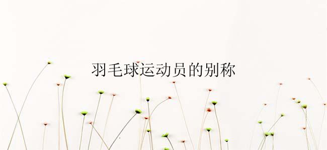 羽毛球运动员的别称