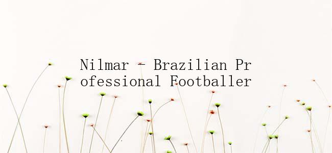 Nilmar - Brazilian Professional Footballer