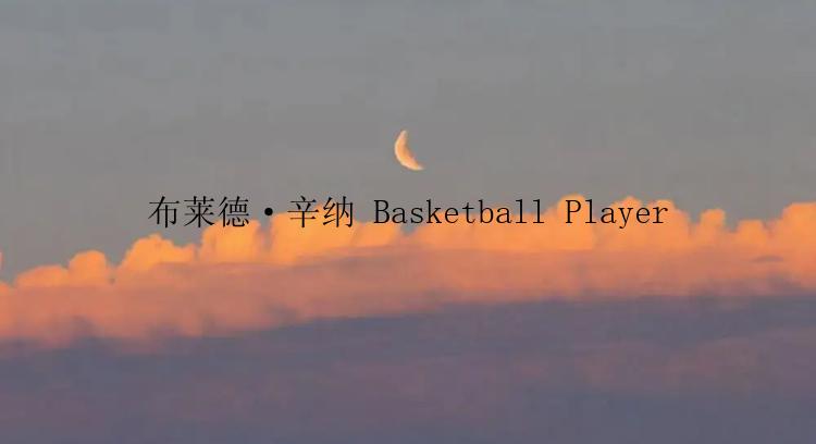 布莱德·辛纳 Basketball Player