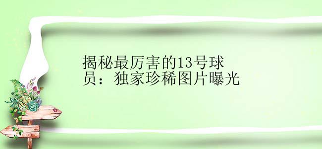 揭秘最厉害的13号球员：独家珍稀图片曝光