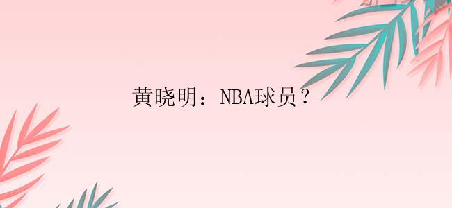 黄晓明：NBA球员？