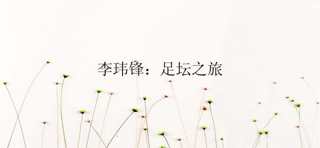 李玮锋：足坛之旅