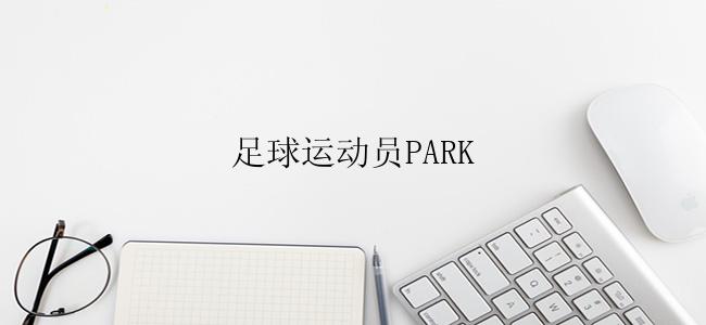 足球运动员PARK