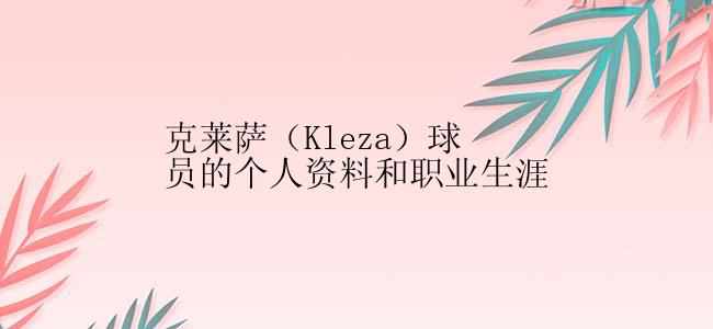 克莱萨（Kleza）球员的个人资料和职业生涯