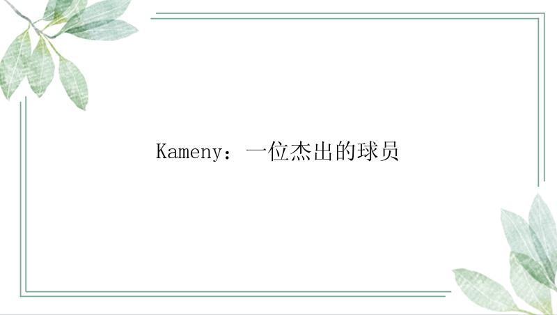 Kameny：一位杰出的球员