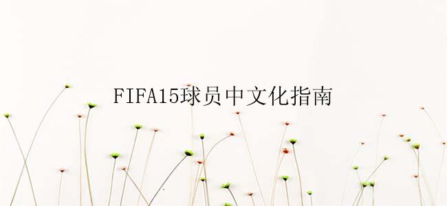 FIFA15球员中文化指南