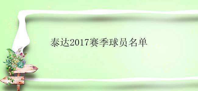 泰达2017赛季球员名单