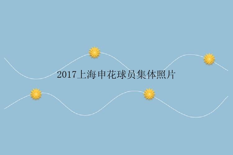 2017上海申花球员集体照片