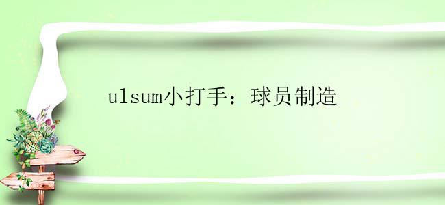 ulsum小打手：球员制造