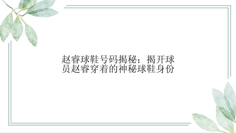 赵睿球鞋号码揭秘：揭开球员赵睿穿着的神秘球鞋身份