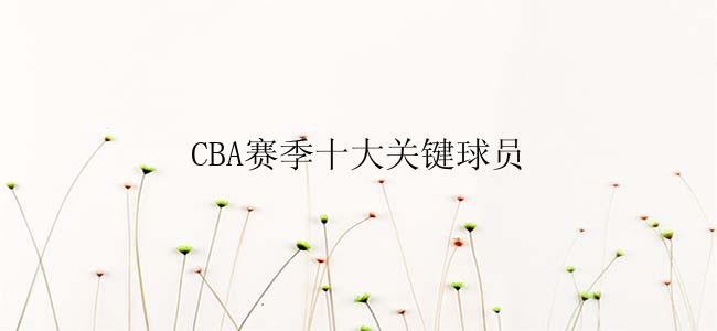 CBA赛季十大关键球员