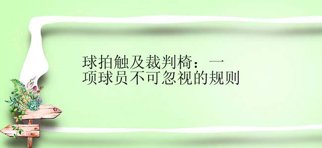 球拍触及裁判椅：一项球员不可忽视的规则