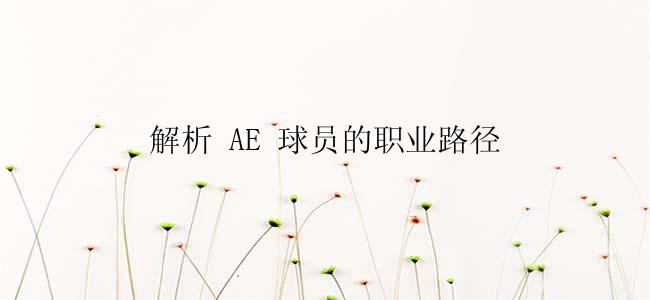 解析 AE 球员的职业路径