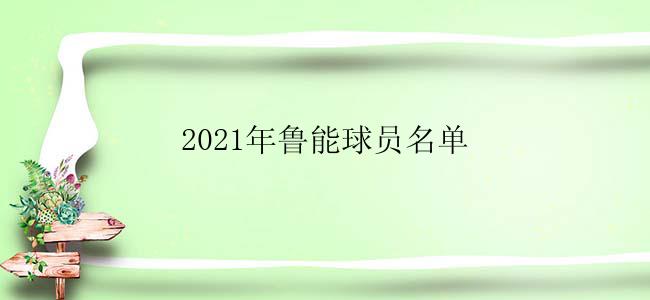 2021年鲁能球员名单