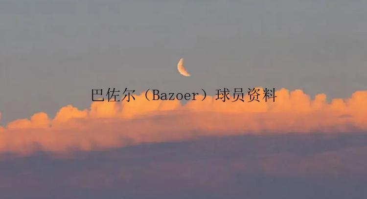 巴佐尔（Bazoer）球员资料