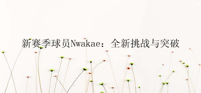 新赛季球员Nwakae：全新挑战与突破