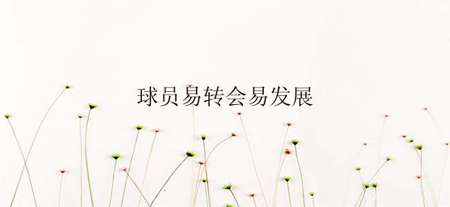 球员易转会易发展