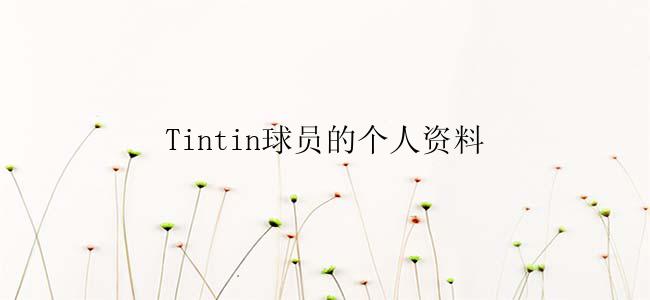 Tintin球员的个人资料