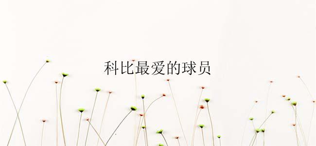 科比最爱的球员