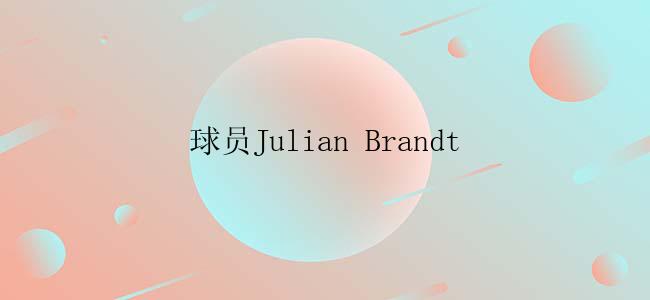 球员Julian Brandt