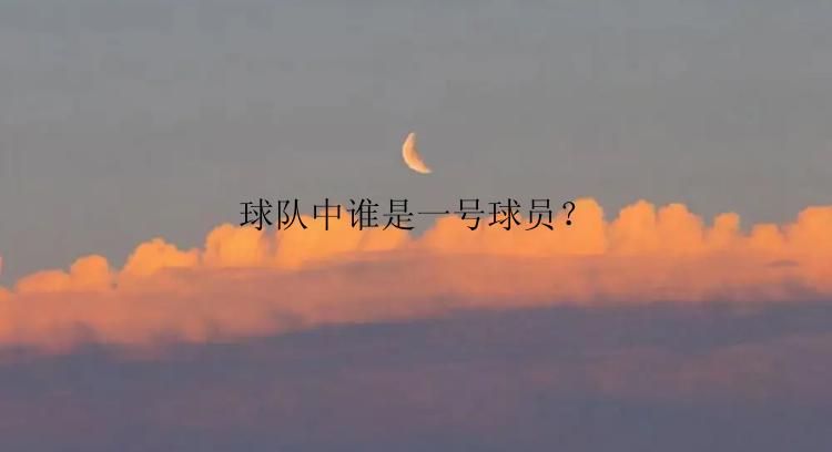 球队中谁是一号球员？