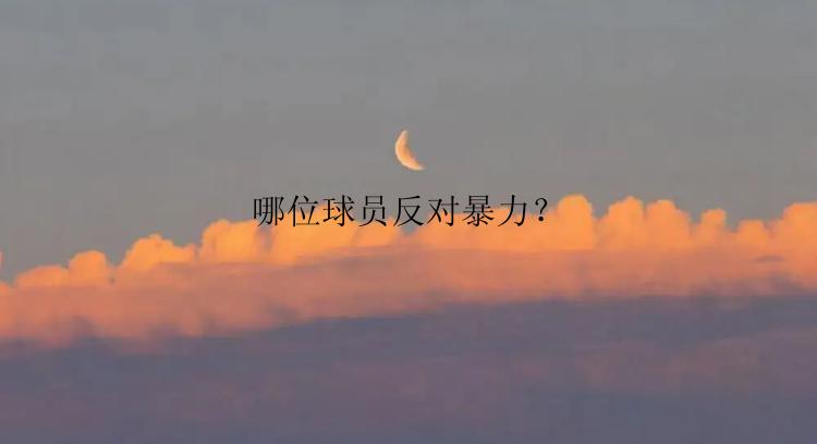 哪位球员反对暴力？