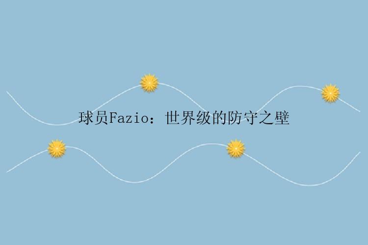 球员Fazio：世界级的防守之壁