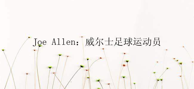 Joe Allen：威尔士足球运动员