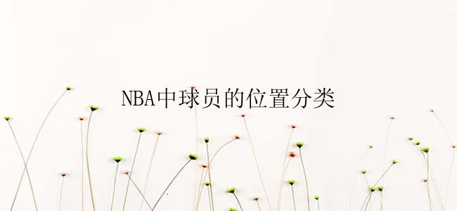 NBA中球员的位置分类