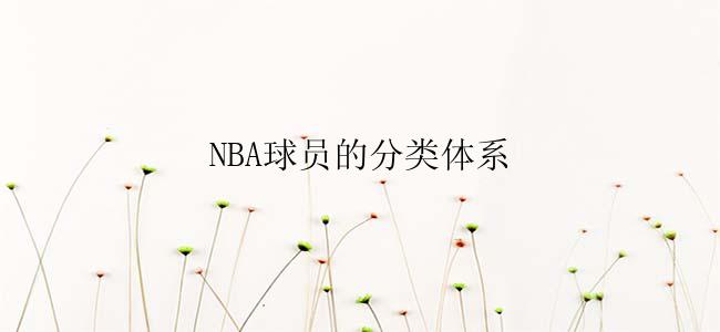 NBA球员的分类体系