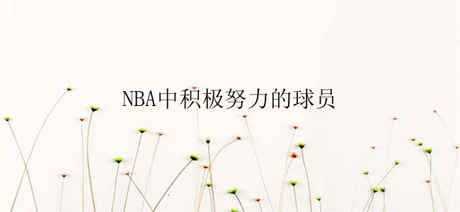 NBA中积极努力的球员