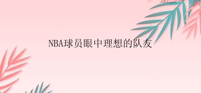 NBA球员眼中理想的队友