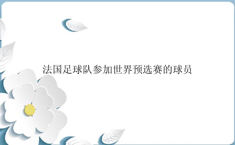 法国足球队参加世界预选赛的球员