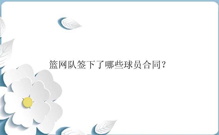 篮网队签下了哪些球员合同？