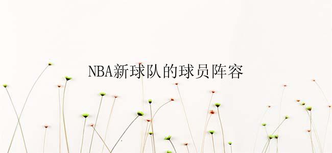 NBA新球队的球员阵容