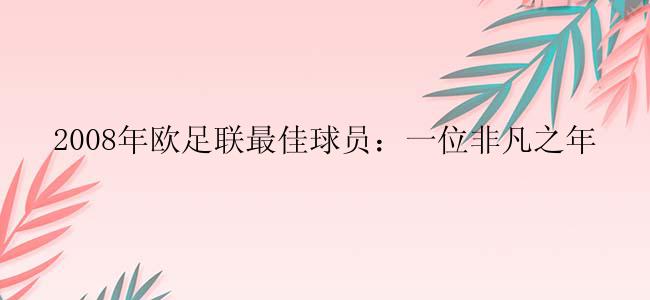 2008年欧足联最佳球员：一位非凡之年