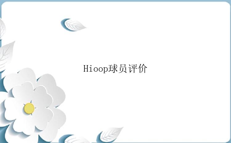 Hioop球员评价