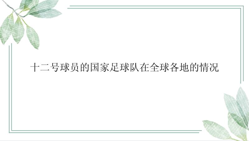 十二号球员的国家足球队在全球各地的情况