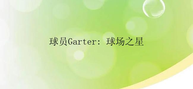 球员Garter: 球场之星