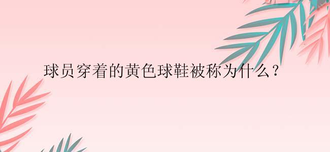 球员穿着的黄色球鞋被称为什么？