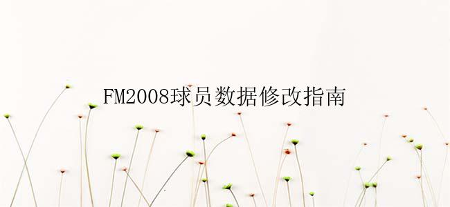 FM2008球员数据修改指南