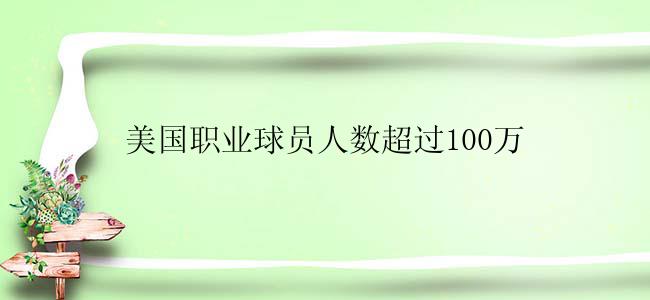 美国职业球员人数超过100万