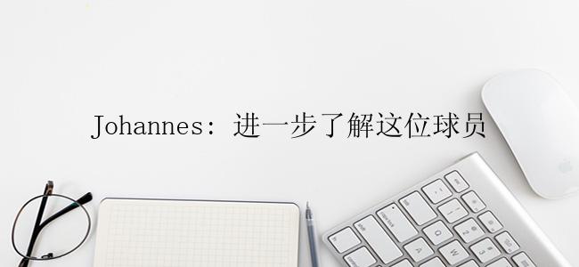 Johannes: 进一步了解这位球员